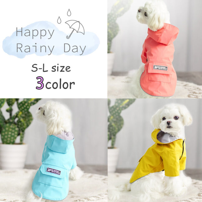 知っているようで知らない話！？ -犬服の歴史-
