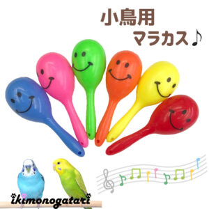【実習生ブログ】鳥のペットのおもちゃについて調べてみた！